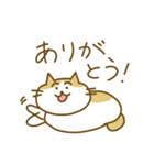 まいにちのねこ（個別スタンプ：23）