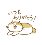 まいにちのねこ（個別スタンプ：31）