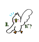 コトリのちっぴ（個別スタンプ：8）