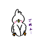 コトリのちっぴ（個別スタンプ：16）