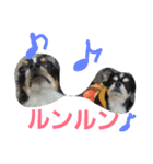 まろきゅ2（個別スタンプ：15）