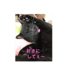 硫黄と竜持の日常（個別スタンプ：3）