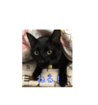 硫黄と竜持の日常（個別スタンプ：4）