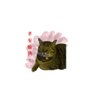 こんにちは！猫ちゃんの福宝です！（個別スタンプ：7）