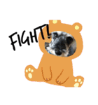 COA_schnauzer10（個別スタンプ：13）