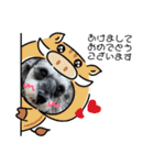 COA_schnauzer10（個別スタンプ：30）