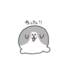 わんころころの日常すたんぷ（個別スタンプ：6）
