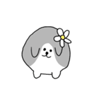 わんころころの日常すたんぷ（個別スタンプ：7）