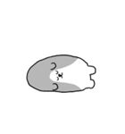 わんころころの日常すたんぷ（個別スタンプ：10）