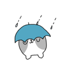 わんころころの日常すたんぷ（個別スタンプ：28）