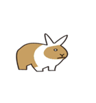 LYT 動物の絵（個別スタンプ：17）
