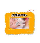 みゆじゅんスタンプ02（個別スタンプ：19）