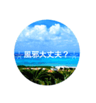 南ぬ島石垣島〜離島3"（個別スタンプ：8）