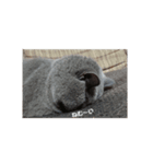 とにかく眠いスチュワート（個別スタンプ：3）