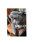 とにかく眠いスチュワート（個別スタンプ：4）