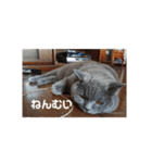 とにかく眠いスチュワート（個別スタンプ：5）