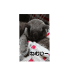 とにかく眠いスチュワート（個別スタンプ：6）