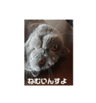 とにかく眠いスチュワート（個別スタンプ：7）