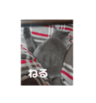 とにかく眠いスチュワート（個別スタンプ：8）