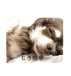 ちびっこ探偵団のスタンプ（個別スタンプ：10）