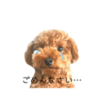 ちびっこ探偵団のスタンプ（個別スタンプ：13）