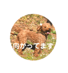 ちびっこ探偵団のスタンプ（個別スタンプ：17）