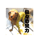ちびっこ探偵団のスタンプ（個別スタンプ：32）