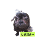 だるまとぱんち（個別スタンプ：14）