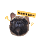 だるまとぱんち（個別スタンプ：20）