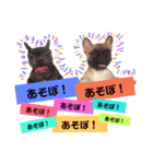 だるまとぱんち（個別スタンプ：27）
