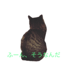 kaede_tanukineko（個別スタンプ：2）