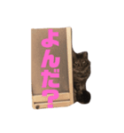 楓4（個別スタンプ：3）