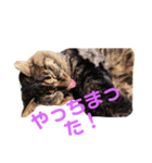 楓4（個別スタンプ：7）