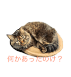 楓 2（個別スタンプ：2）