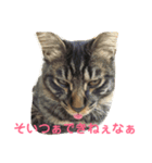 楓 2（個別スタンプ：8）