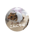 うちのアイドル！とうふ（個別スタンプ：2）