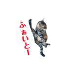 ルビーといっしよ 2（個別スタンプ：1）