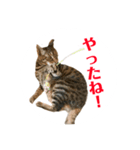 ルビーといっしよ 2（個別スタンプ：2）