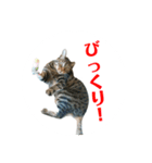 ルビーといっしよ 2（個別スタンプ：3）
