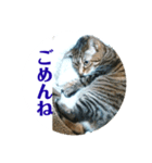 ルビーといっしよ 2（個別スタンプ：7）