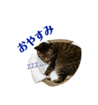 ルビーといっしよ 2（個別スタンプ：8）