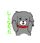 短足犬 ゆるスタンプ(ミニチュアダックス)（個別スタンプ：6）
