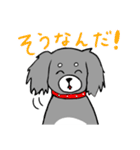 短足犬 ゆるスタンプ(ミニチュアダックス)（個別スタンプ：9）