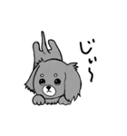 短足犬 ゆるスタンプ(ミニチュアダックス)（個別スタンプ：11）
