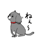 短足犬 ゆるスタンプ(ミニチュアダックス)（個別スタンプ：12）