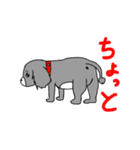 短足犬 ゆるスタンプ(ミニチュアダックス)（個別スタンプ：17）