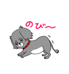 短足犬 ゆるスタンプ(ミニチュアダックス)（個別スタンプ：24）
