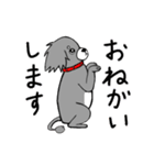 短足犬 ゆるスタンプ(ミニチュアダックス)（個別スタンプ：38）
