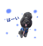 ふぁる男*（個別スタンプ：4）