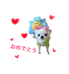 ふぁる男*（個別スタンプ：5）